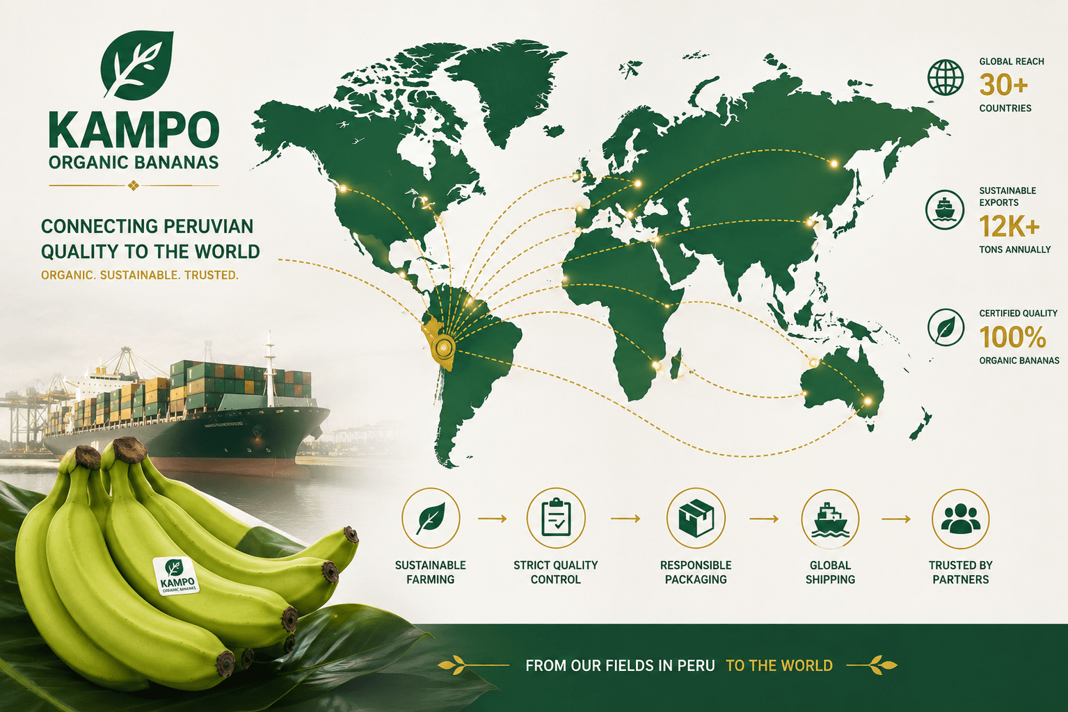 Tendencias en Exportación de Banano para 2024